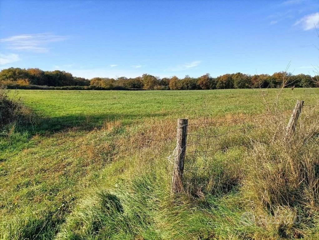 Immobile in asta di 18460 m² a Canino - Vista 2