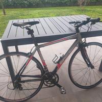 BICICLETTA BOTTECCHIA DA UOMO  TG. 51