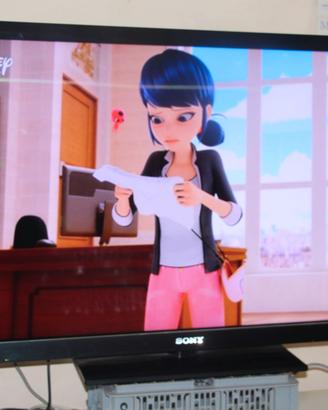 TV Sony NON Smart