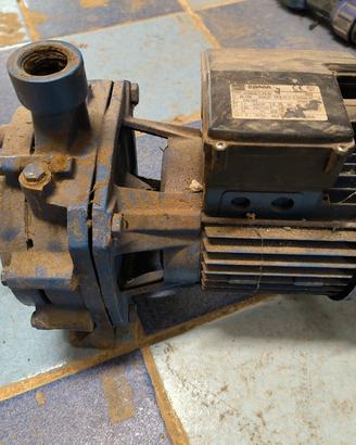 Elettropompa centrifuga Ebara CDA/A 1.50 M