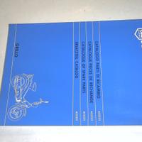 CATALOGO PARTI DI RICAMBIO GRILLO PIAGGIO 405131