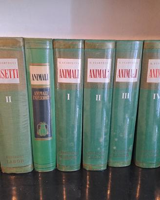 enciclopedia animali Dott. G. Scortecci