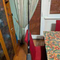 Daiwa Lateos canna spinning