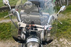 Parabrezza Cupolino Honda VT 750 S Shadow (10-15)
