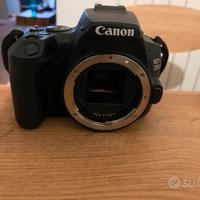 Canon eos 250D SOLO CORPO