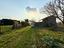 Immagine 9