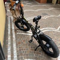 bicicletta elettrica