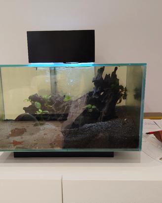 acquario fluvial Edge 