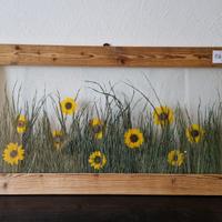 Quadri con fiori secchi di varie dimensioni