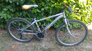 Mtb regina 26