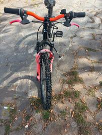 Bici rockrider 24