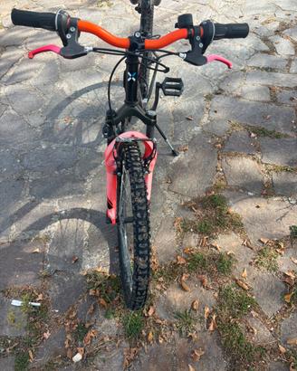 Bici rockrider 24