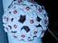 Immagine 1
