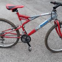 Mountain bike unisex 