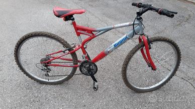 Mountain bike unisex 