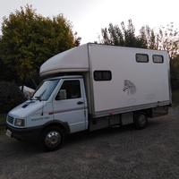 Fiat Iveco trasporto cavalli