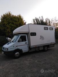 Fiat Iveco trasporto cavalli