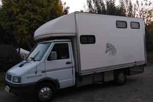 Fiat Iveco trasporto cavalli