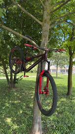 Orbea Rallon 2023 XL Custom