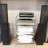Diffusori Elettrostatici Martin Logan Purity