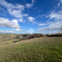 TER. AGRICOLO A BELLANTE