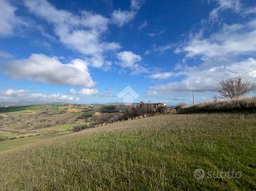 TER. AGRICOLO A BELLANTE