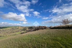 TER. AGRICOLO A BELLANTE