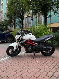 Benelli bn302