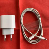 Apple caricabatterie 20w usb-c +cavo lightning iph