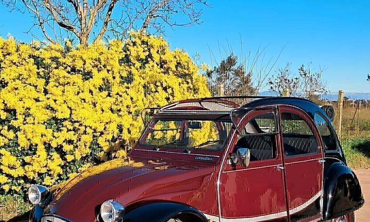 Citroen 2CV 2CV6 Charleston STORICA 40 ANNI