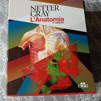 Anatomia del Gray 2°edizione