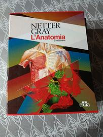 Anatomia del Gray 2°edizione