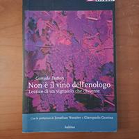 NON È IL VINO DELL'ENOLOGO di Corrado Dottori