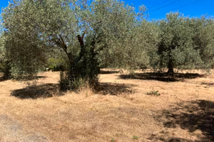 Campagna