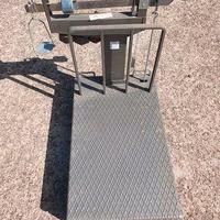 Pesa sacchi nocciole/castagne/noci