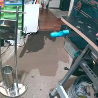 Porta carta + spazzolino per bagno Inox