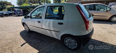 fiat punto