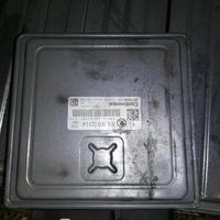 Centralina motore SKODA ROOMSTER 16 TDI '12