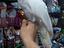 Immagine 2