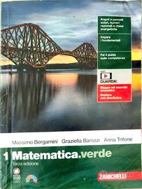 matematica verde 1