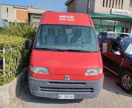 Fiat Ducato Maxi 2.5 D PM-TMA Furgone GV