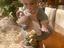 Immagine 1