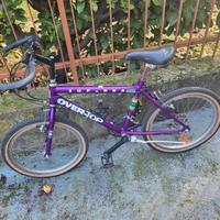 bicicletta da ragazzino/a