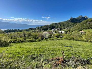 TER. AGRICOLO A GARGNANO