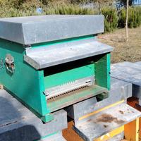 Arnia 10 telaini per allevamento api