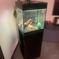 Acquario