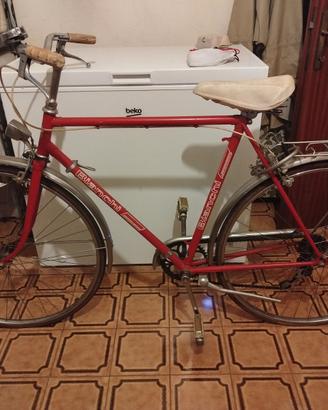 coppia bici Bianchi