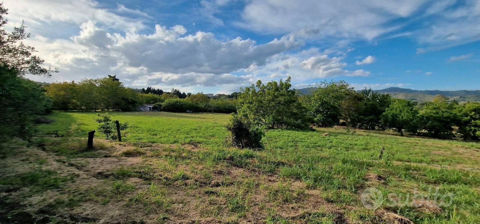 Rustico con uliveto e vigneto a Piedimonte Etneo - Vista 4