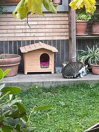 Cuccia per esterno mai usata