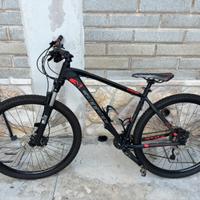 Bicicletta carrara